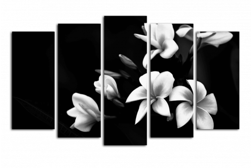 Модульная картина Белые цветочки